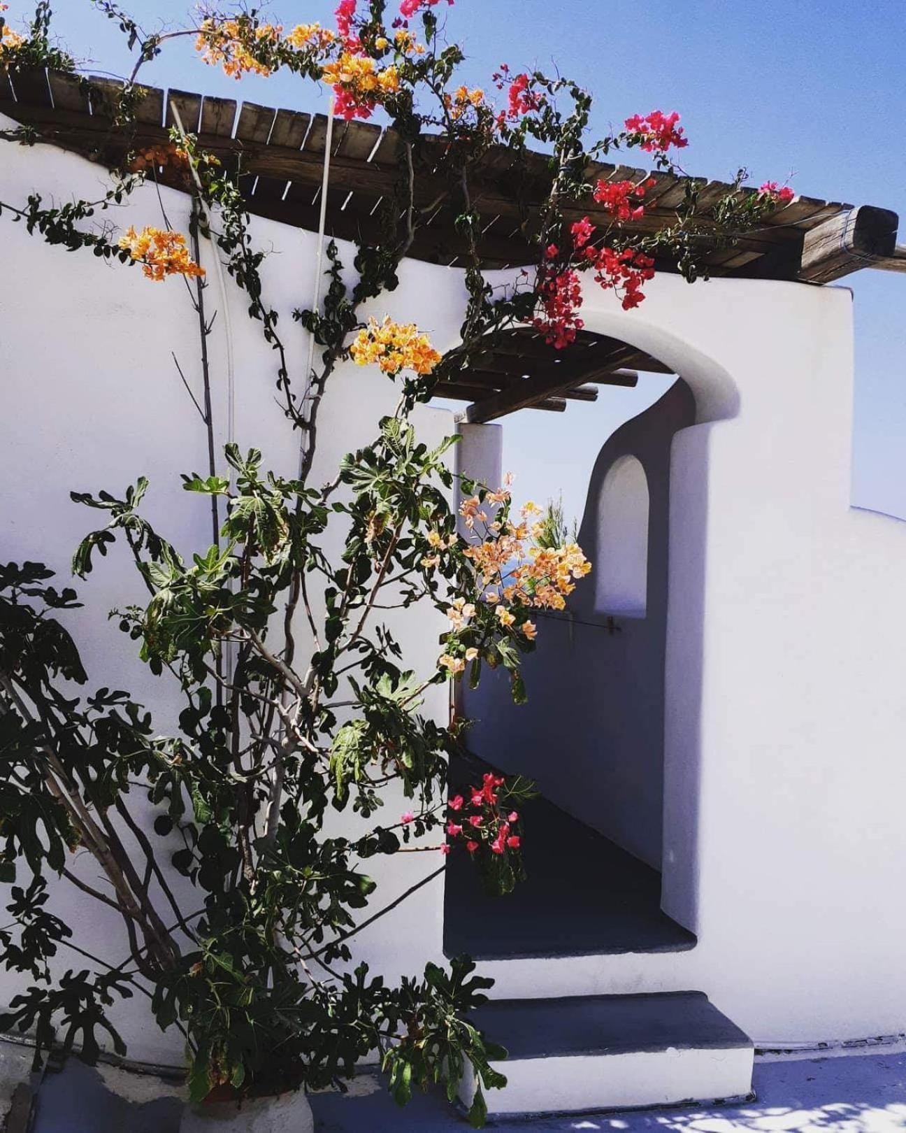 Iliovasilema Studios Koufonisi Koufonisia Exterior foto